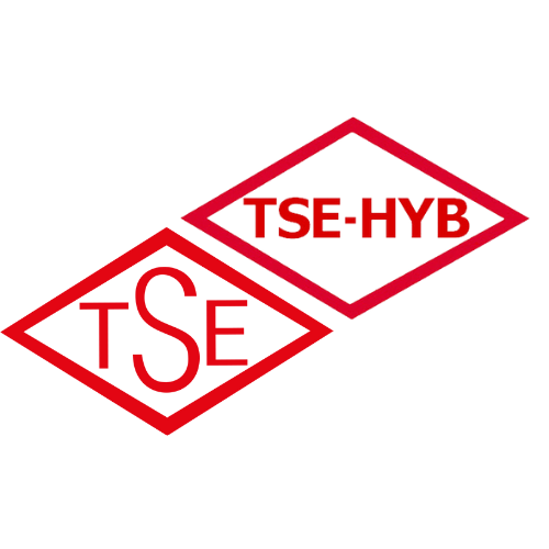 TSE HYB logo